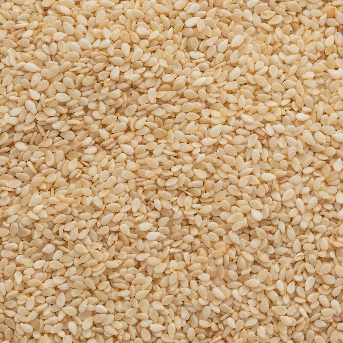 Sesame