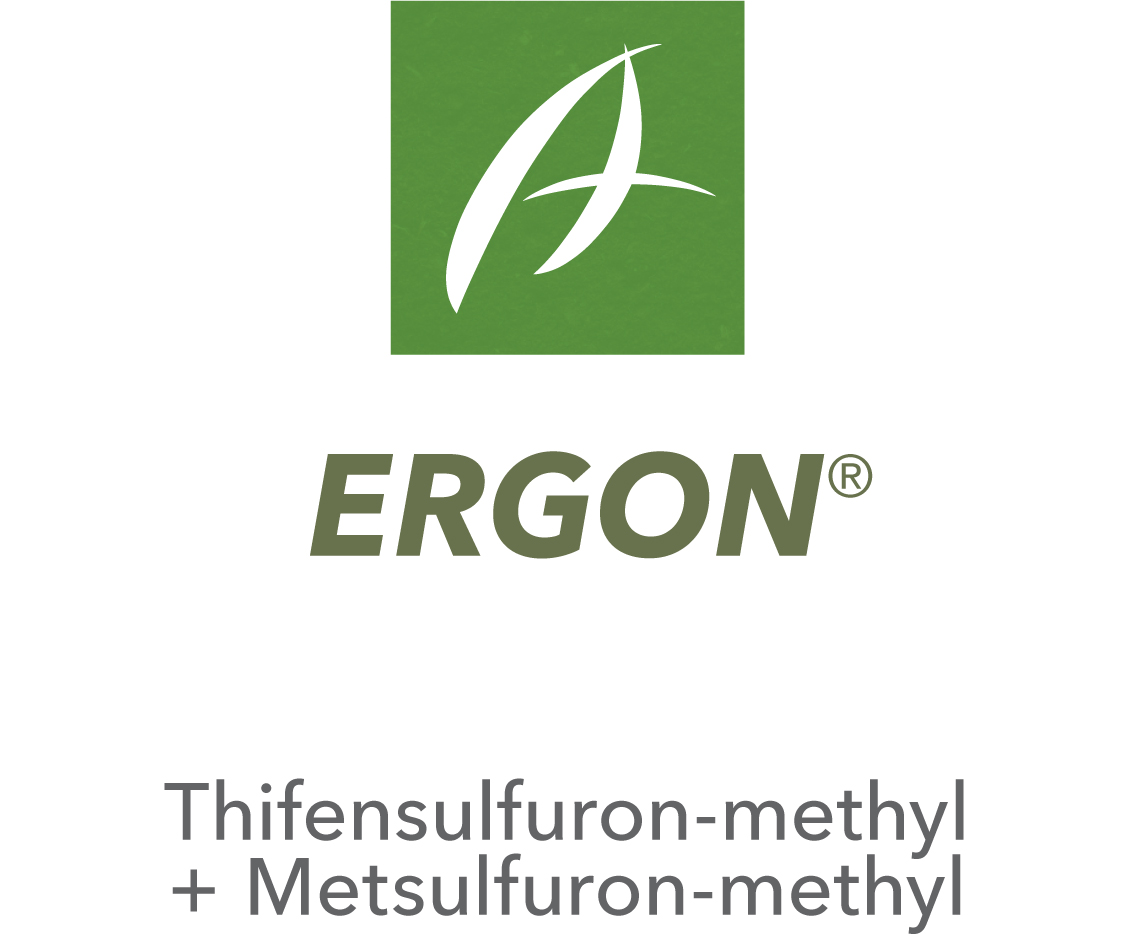 Ergon