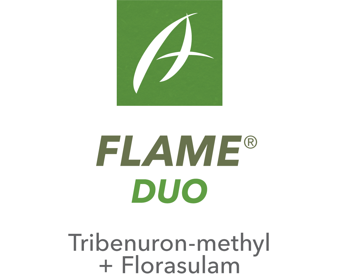 Flame Duo