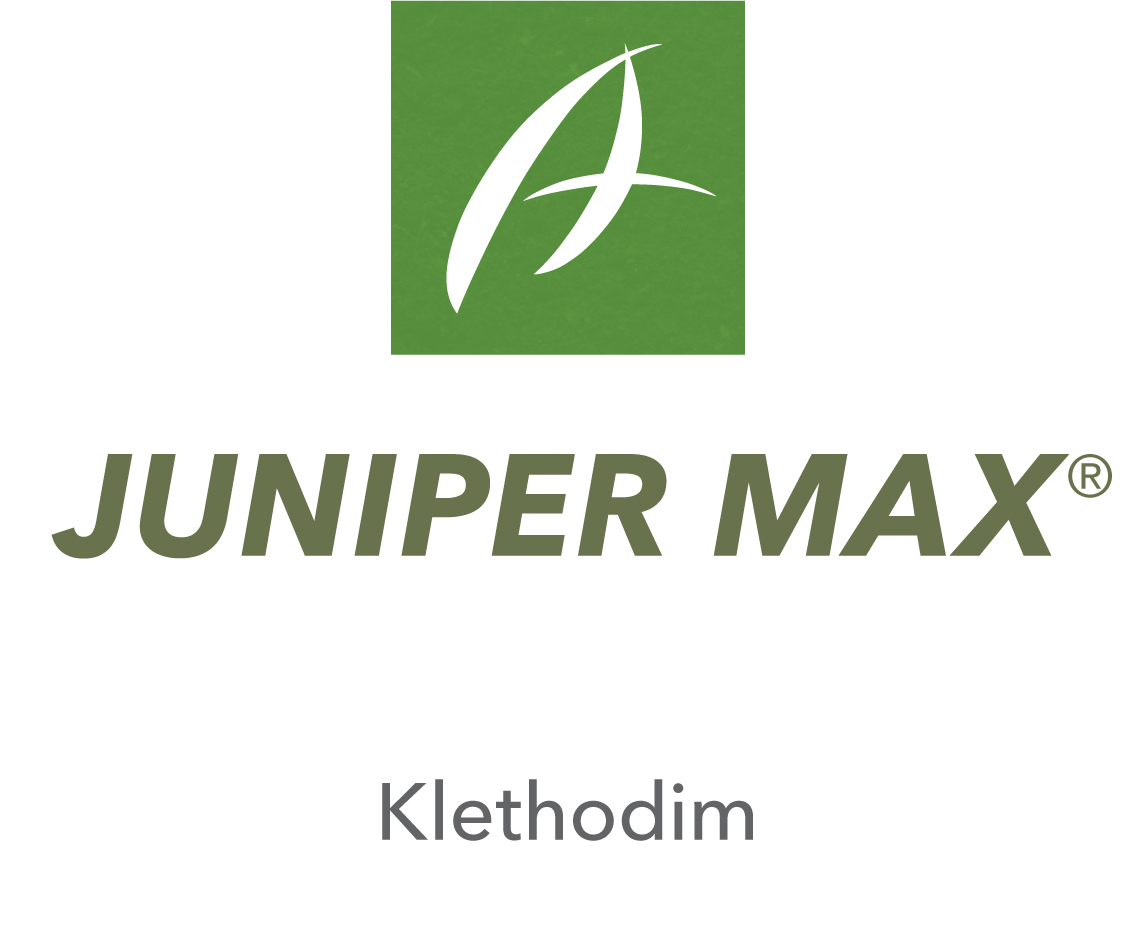 Juniper Max