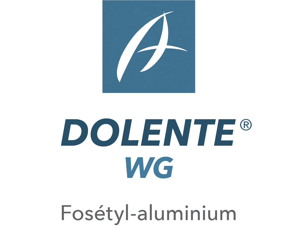 Dolente® WG