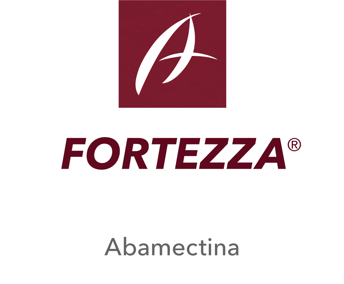 Fortezza