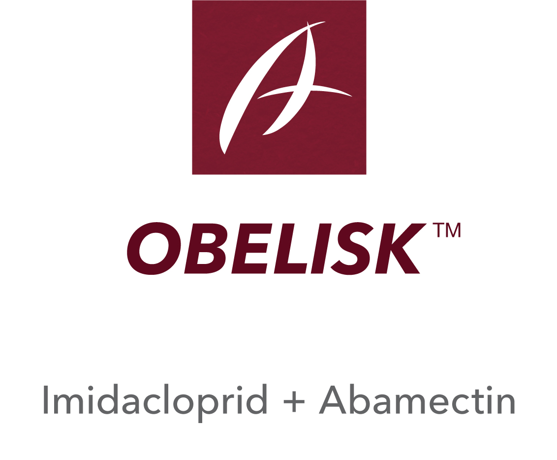 Obelisk™