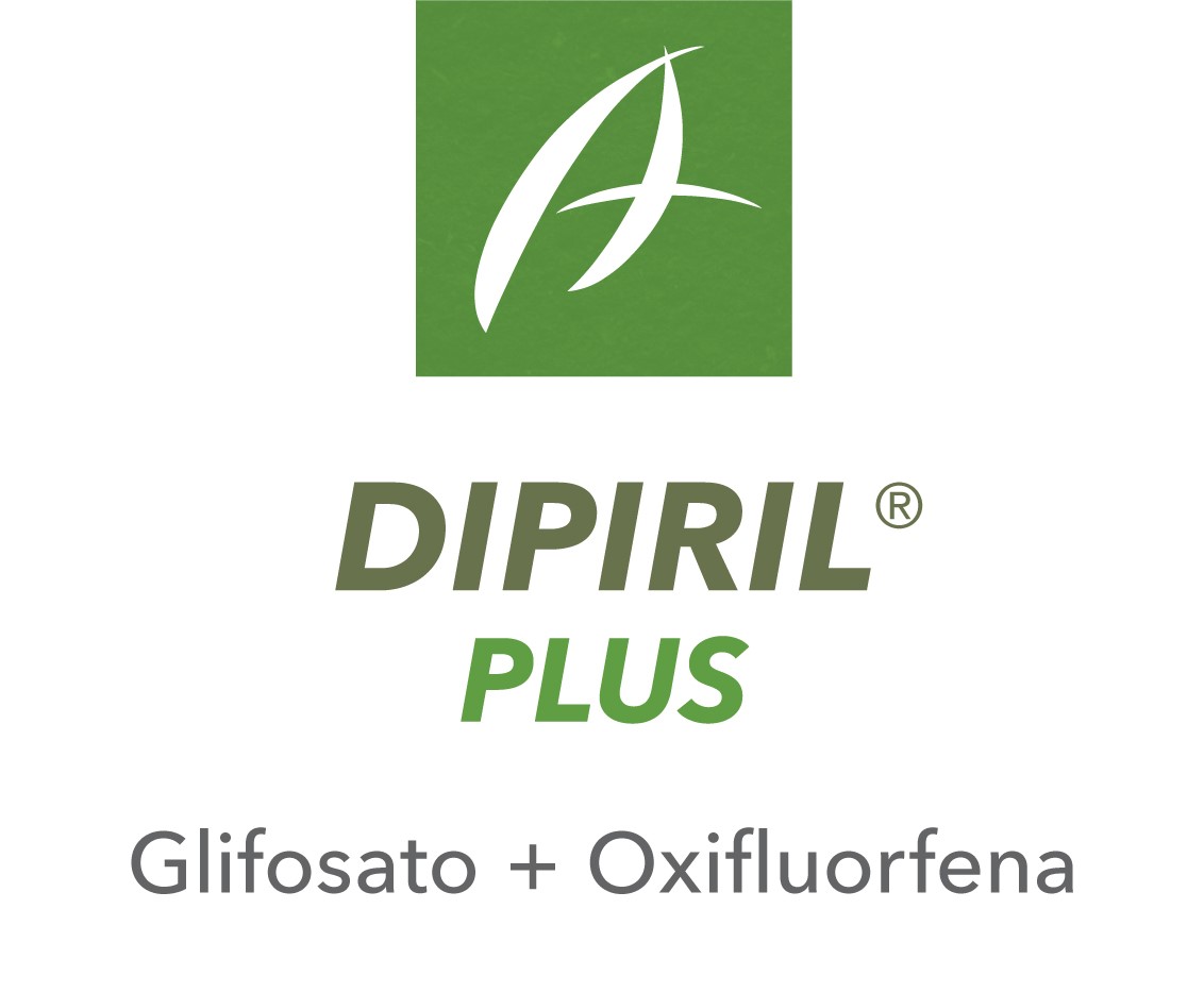 Dipiril® Plus