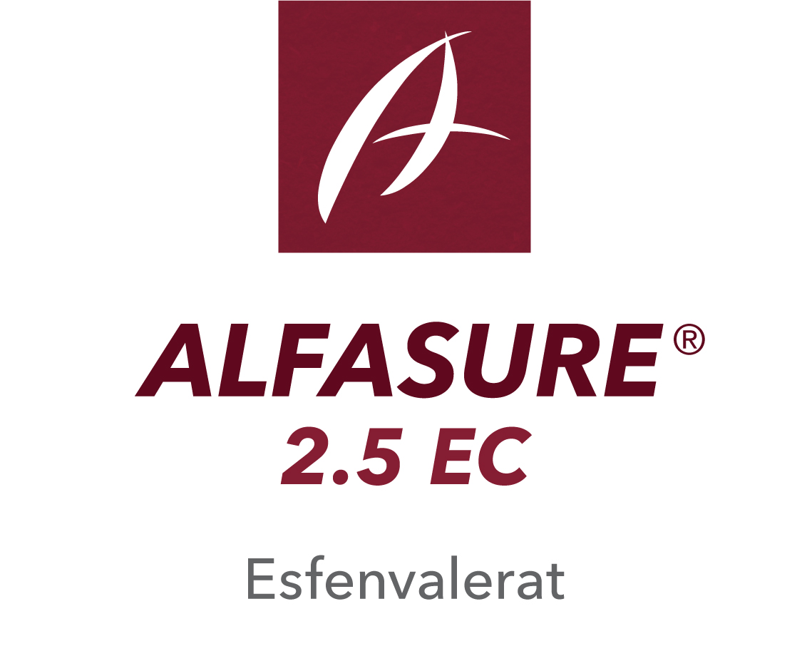 Alfasure® 2.5 EC
