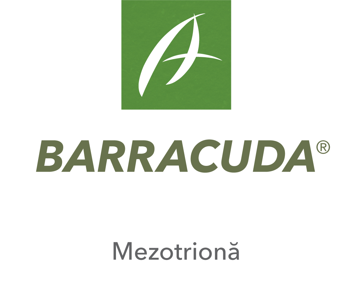 Barracuda®