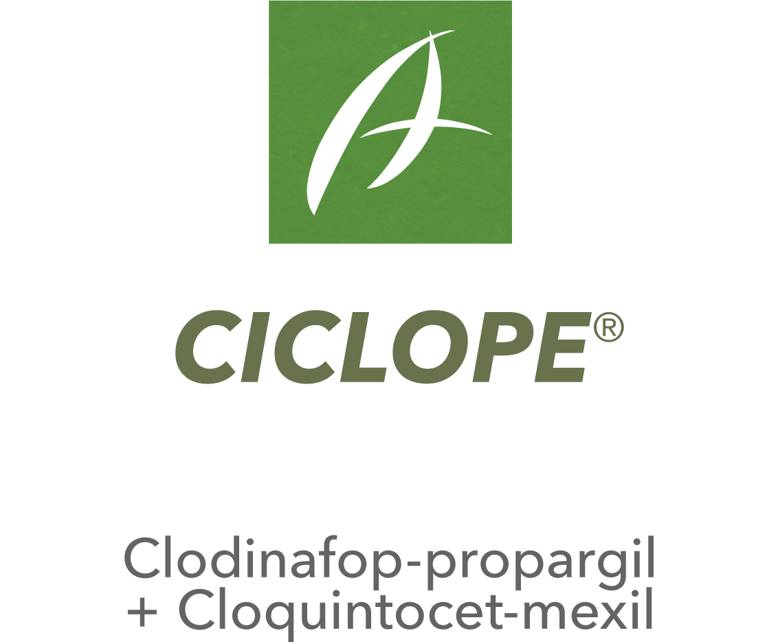 Ciclope®