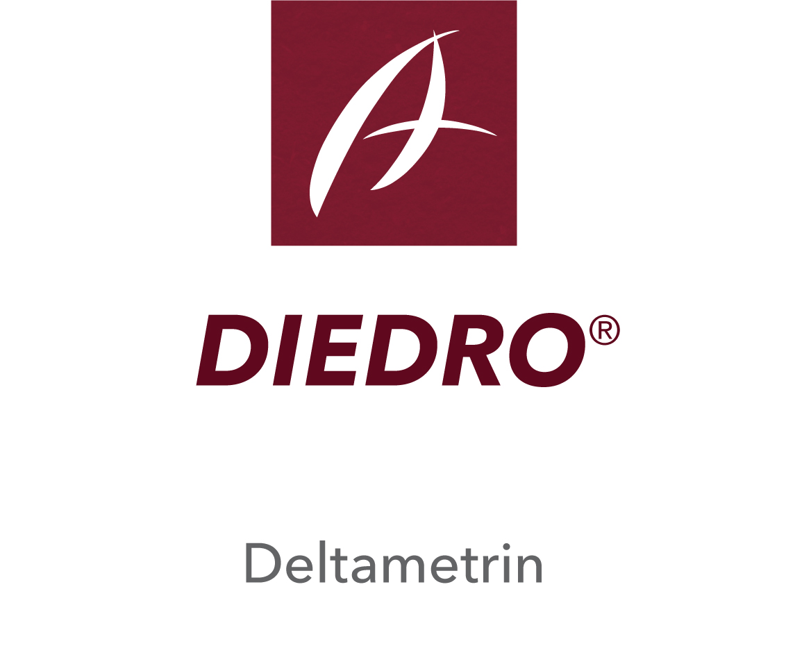 Diedro®