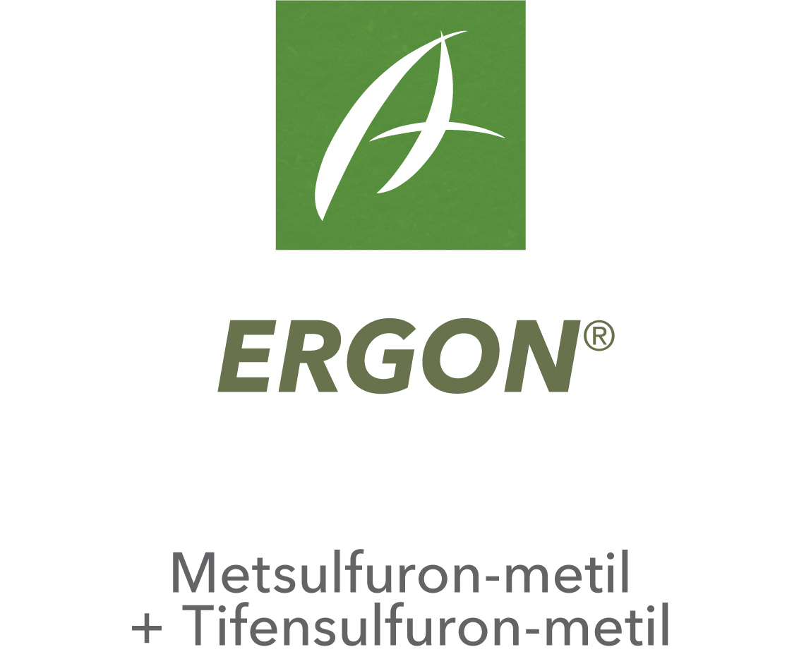 Ergon®