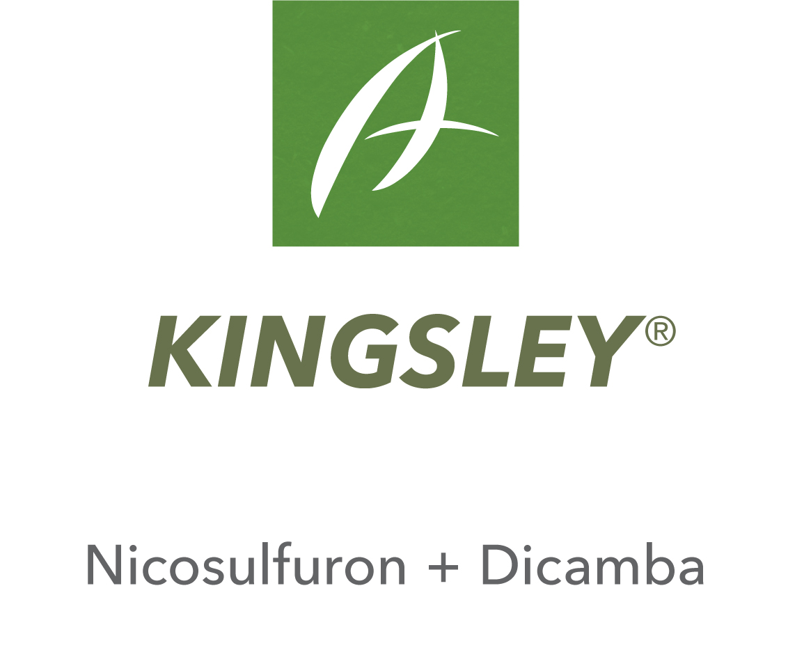 Kingsley®