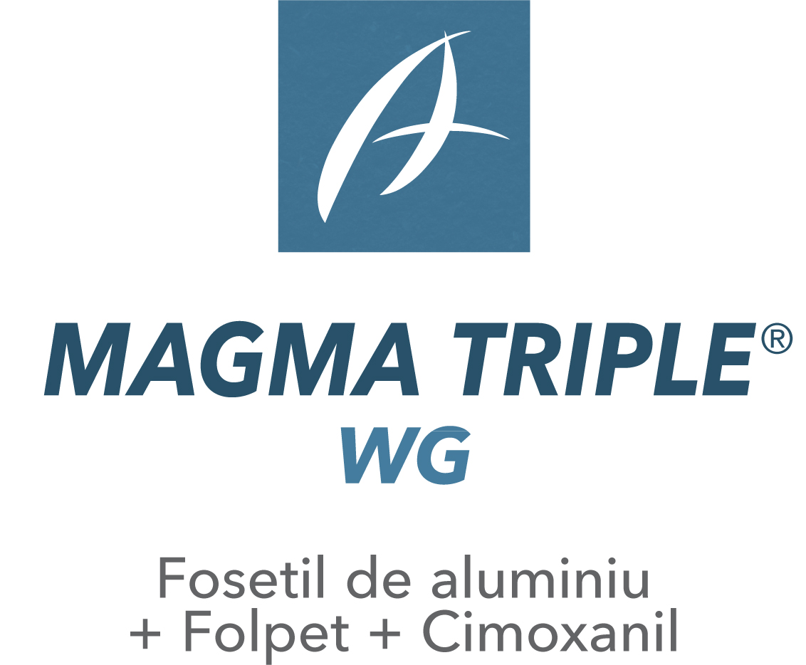 Magma Triple® WG