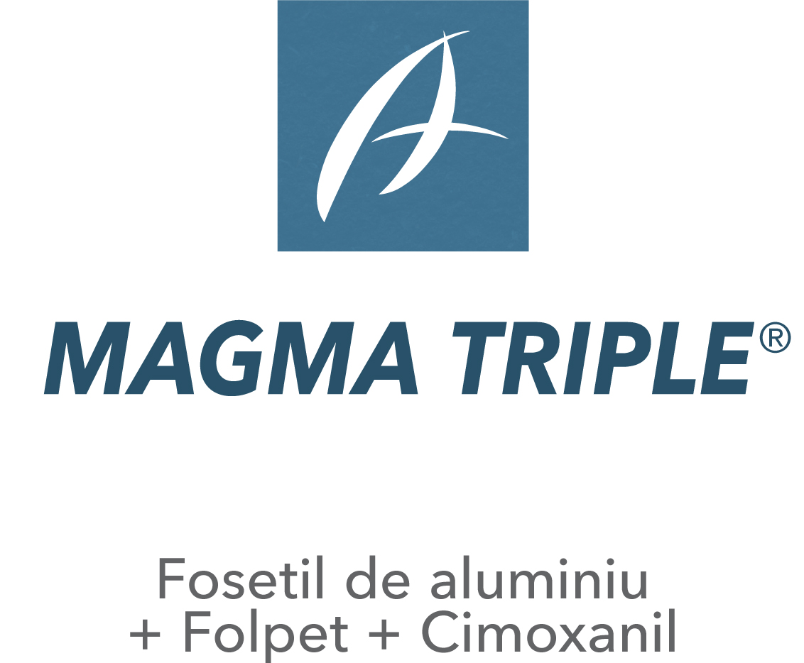 Magma Triple®