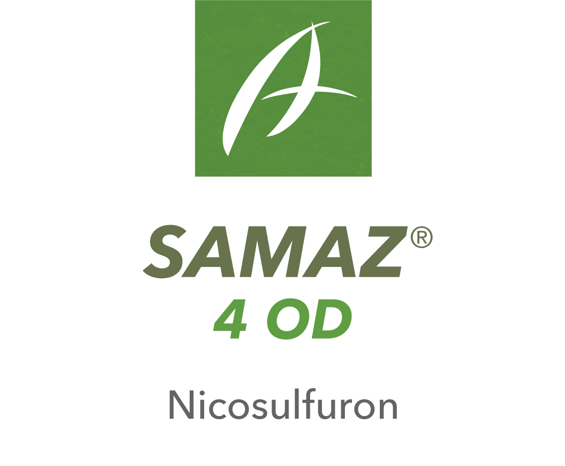 Samaz® 4 OD