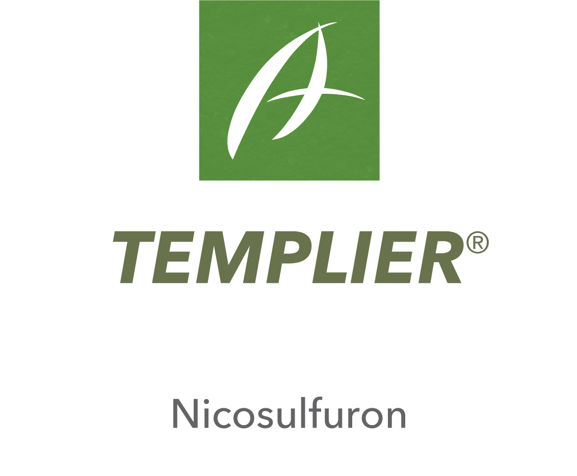 Templier®