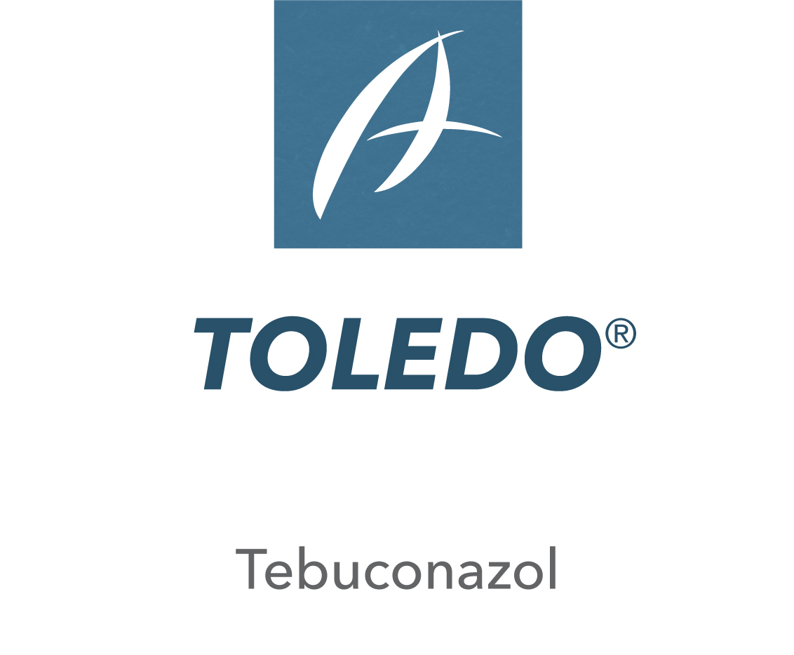 Toledo®