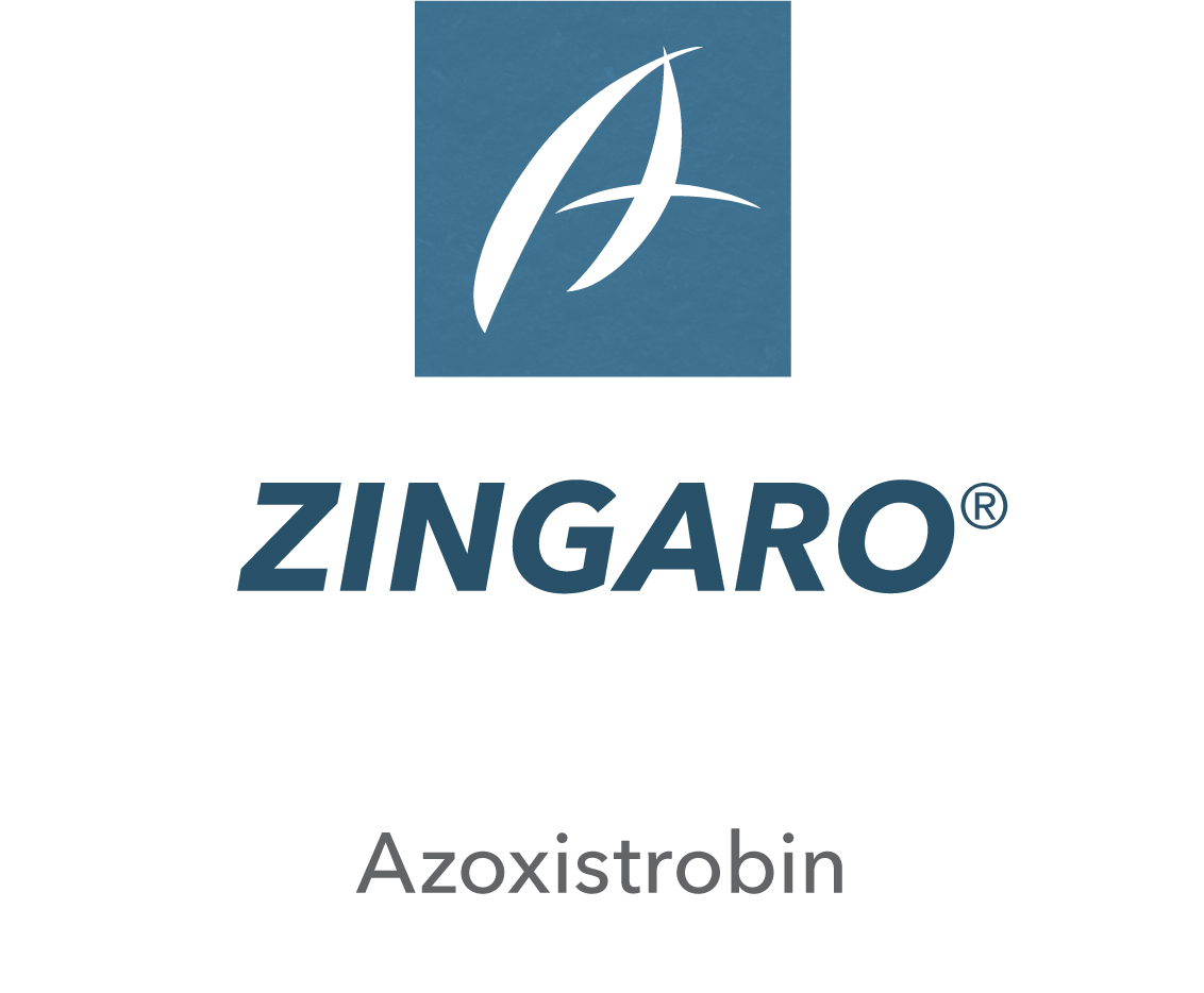 Zingaro®