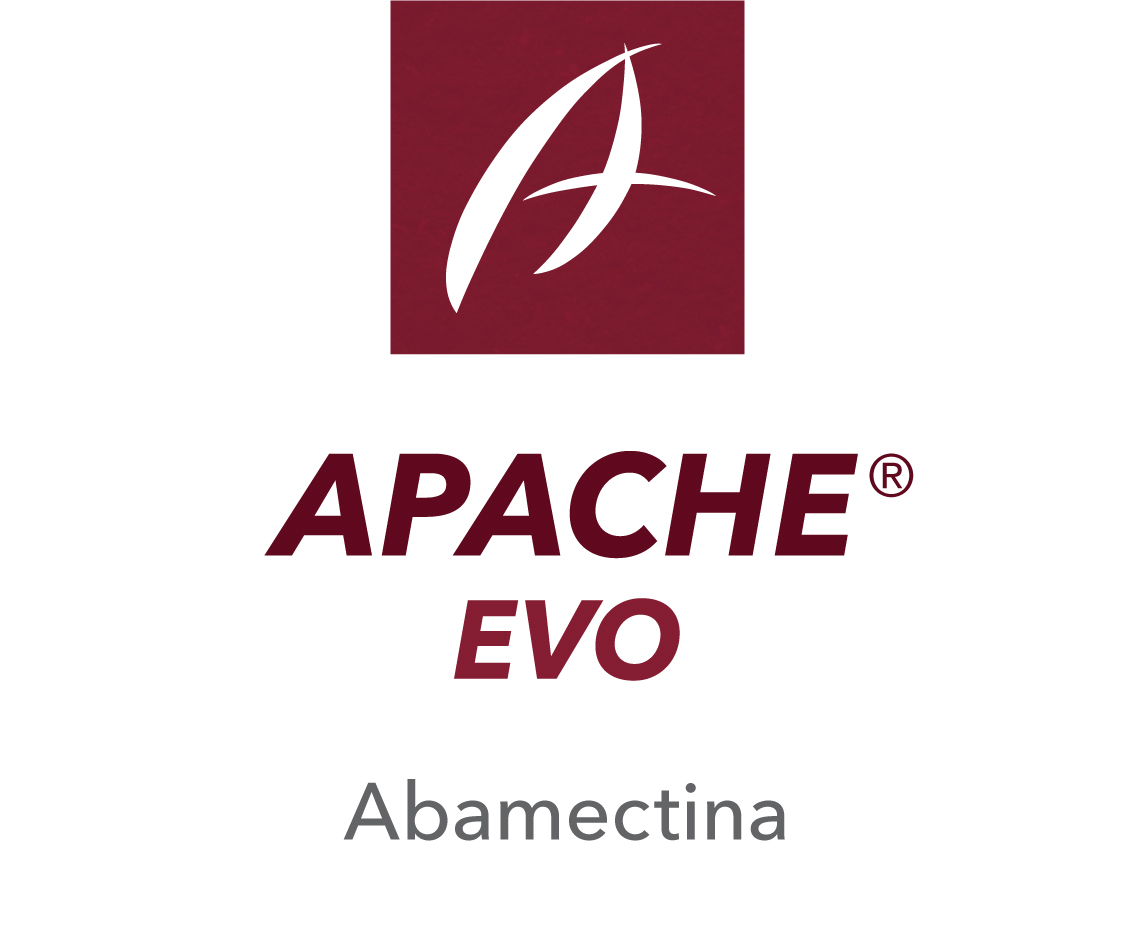Apache® Evo
