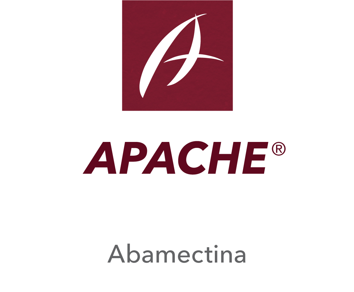 Apache