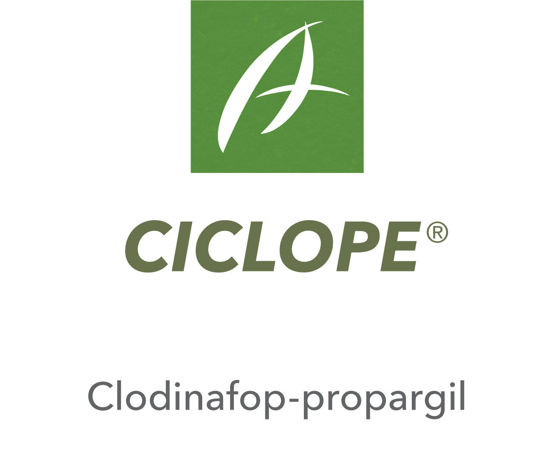 Ciclope®